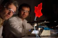 Artificial Leaf 2