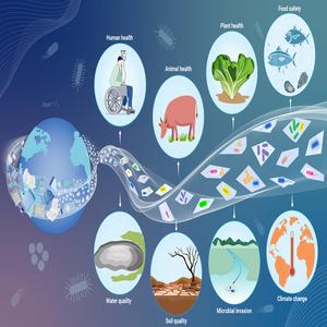 PolyU research unveils hidden microbial threats to ecosystem caused by plastic waste, urging global collaboration to track harmful microbiomes