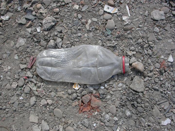 A Future 'Fossil'
