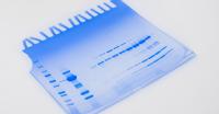 Protein gel