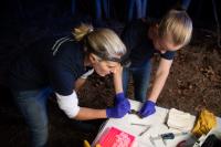 Sampling for genomic analysis
