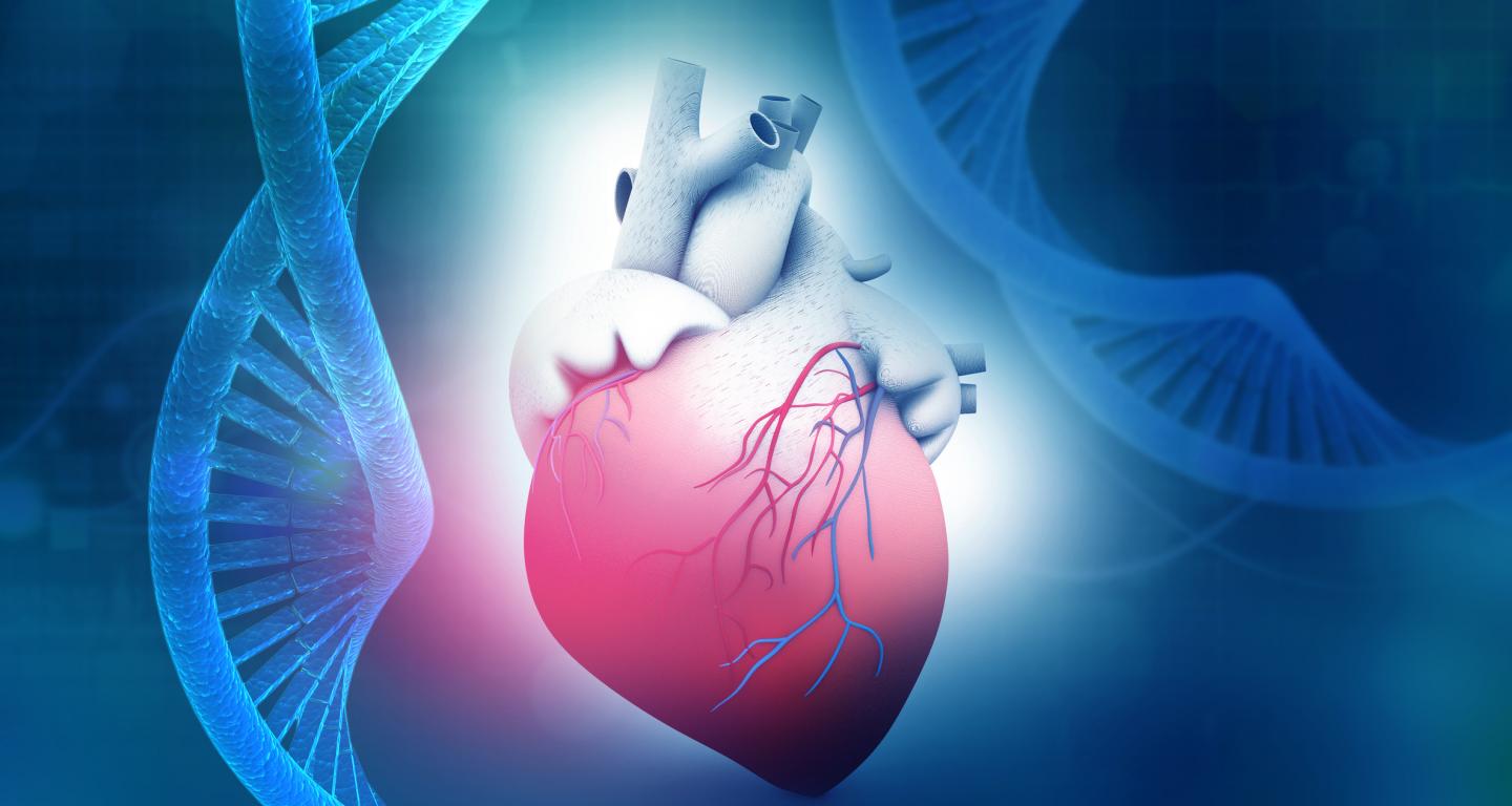 Heart Gene 21