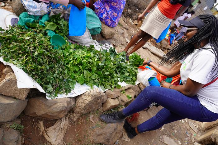 The invisible backbone of the world's food system (Kenya)