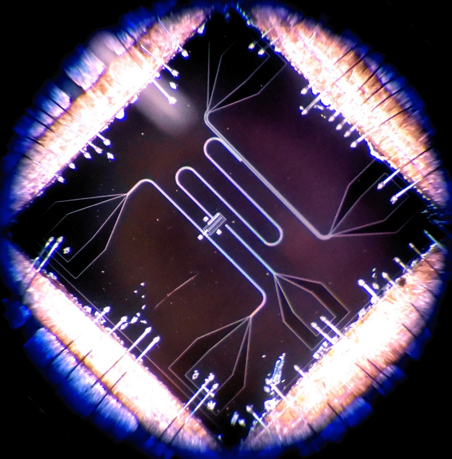 Transmon Sample