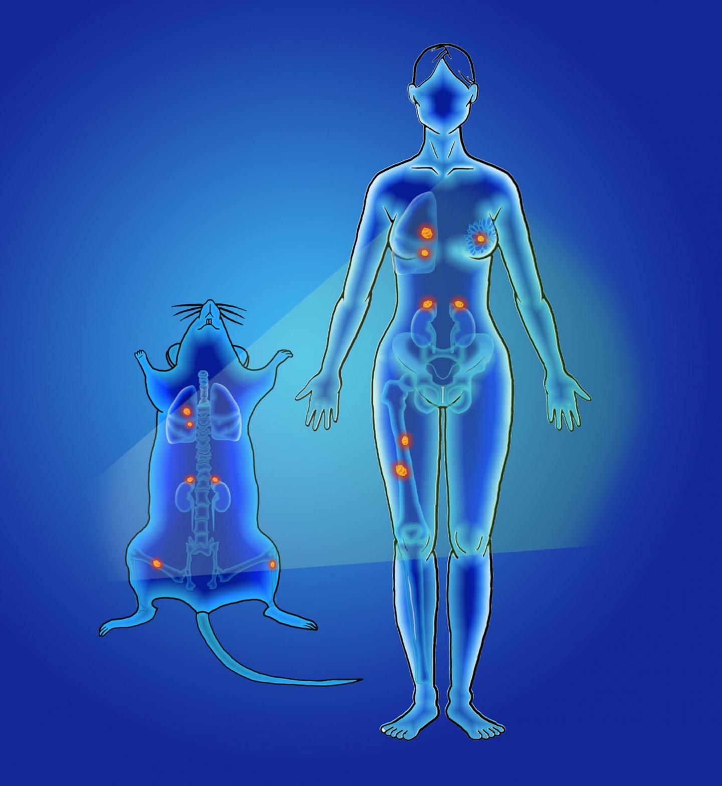 Nanoprobes for Cancer Tracking