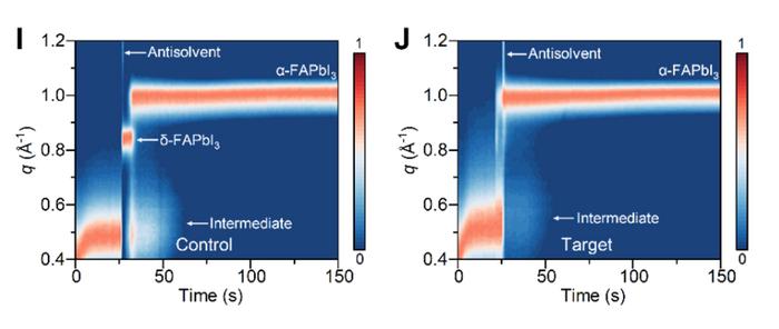 In situ GIWAXS reveals the role of Prussian blue in regulating perovskite nucleation and phase transformation dynamics