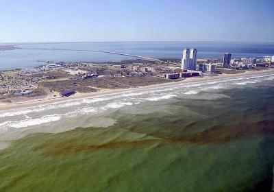 <i>Karenia brevis</i> Alga Outbreak in Texas