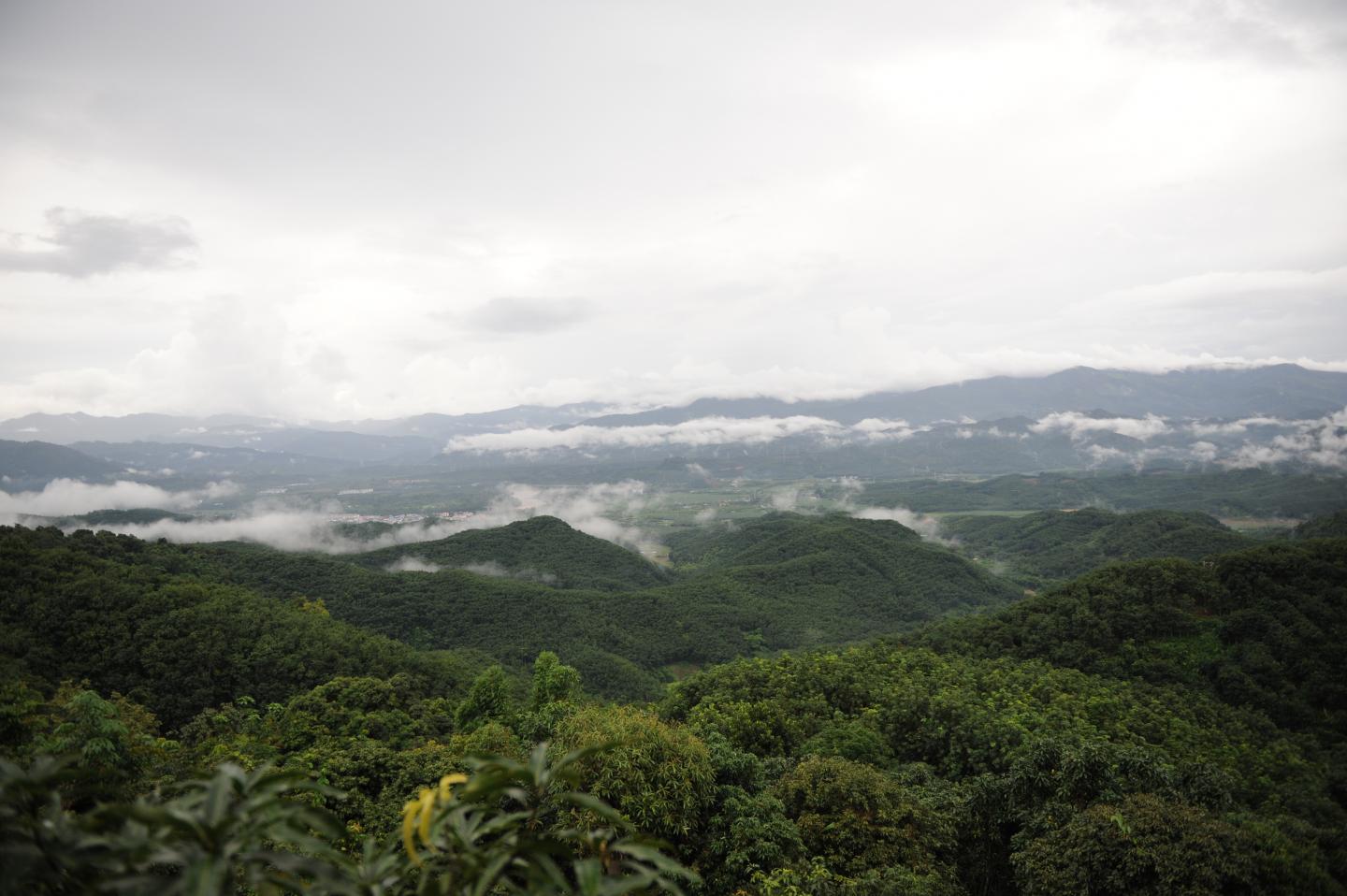 Did Shifts in Tectonic Plates, not Changes in CO<sub>2</sub>, Shape the Modern East Asian Monsoon? (4 of 9)