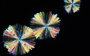 New crystal form of imidacloprid insecticide