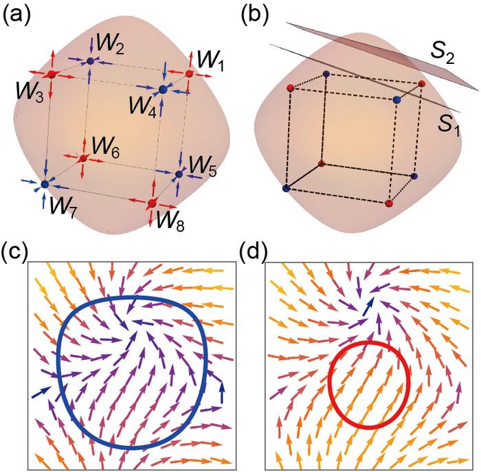 Octupolar Weyl Superconductivity Pattern