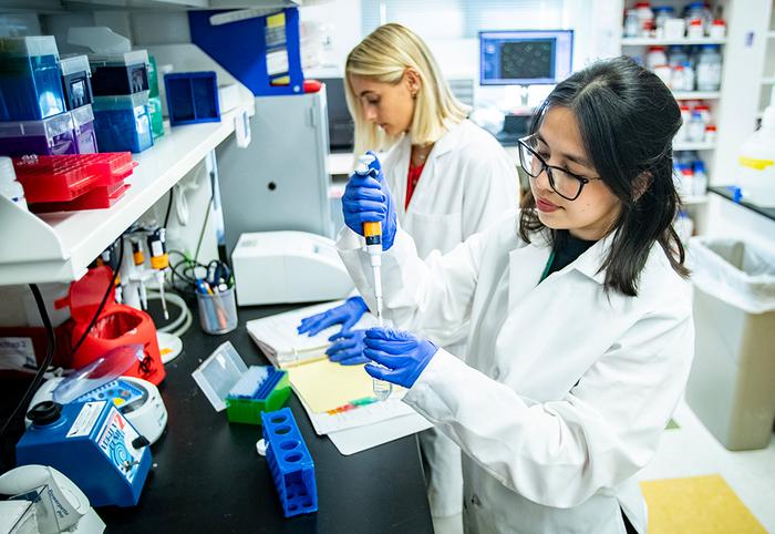 USF record research funding