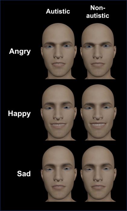 Avatars of posed facial expression emotions