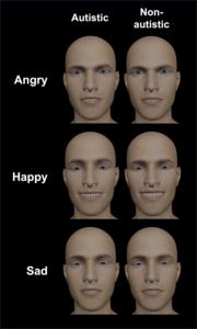 Avatars of posed facial expression emotions