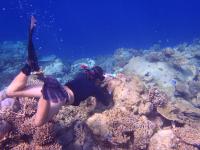 Maldives Work