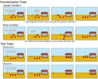 The Trials