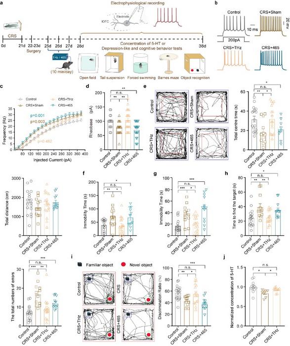 Figure 1: Effects of THz illumination on lOFCGlu neuronal activity and behavior in CRS mice.