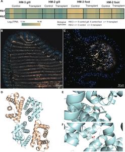 The research team analyses hydrogen sulfide binding capability of clam host hemoglobin.