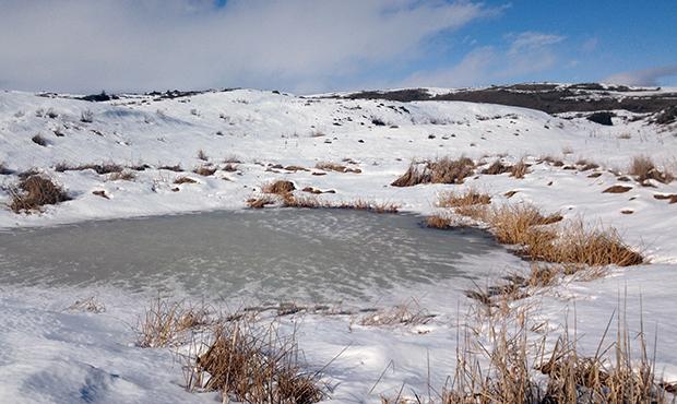 Wetland-winter
