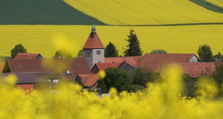 Town of Bad Gandersheim (1 of 2)