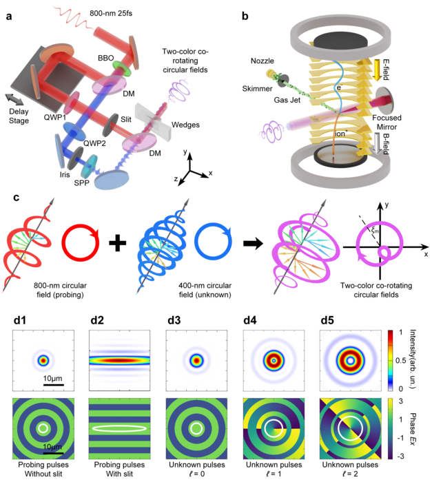 Schematic of the OAM measurement with two-color strong-field ionization experiment.