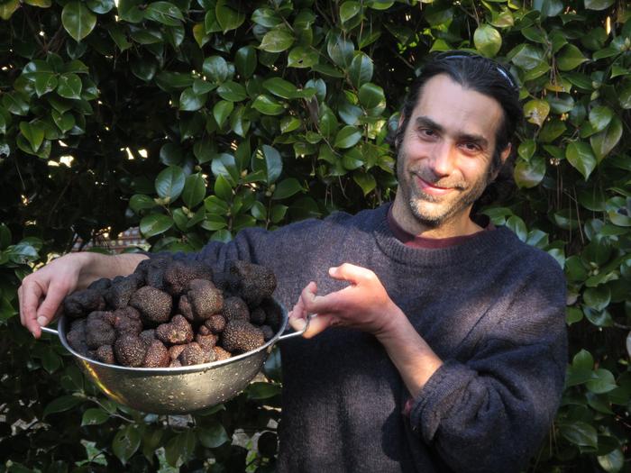 Greg Bonito collects truffles