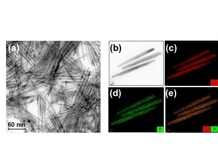 Fig. 2