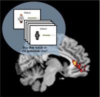 Brain Task