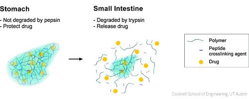 Degradable System