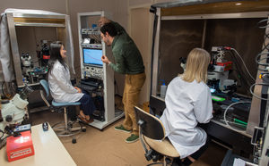 Study of the effects of mutations on ion channels