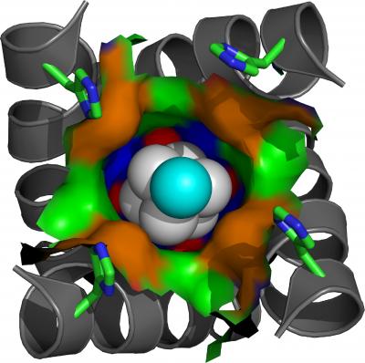 New Target for Preventing and Treating Flu