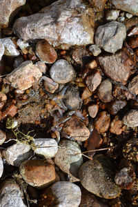 Gravel