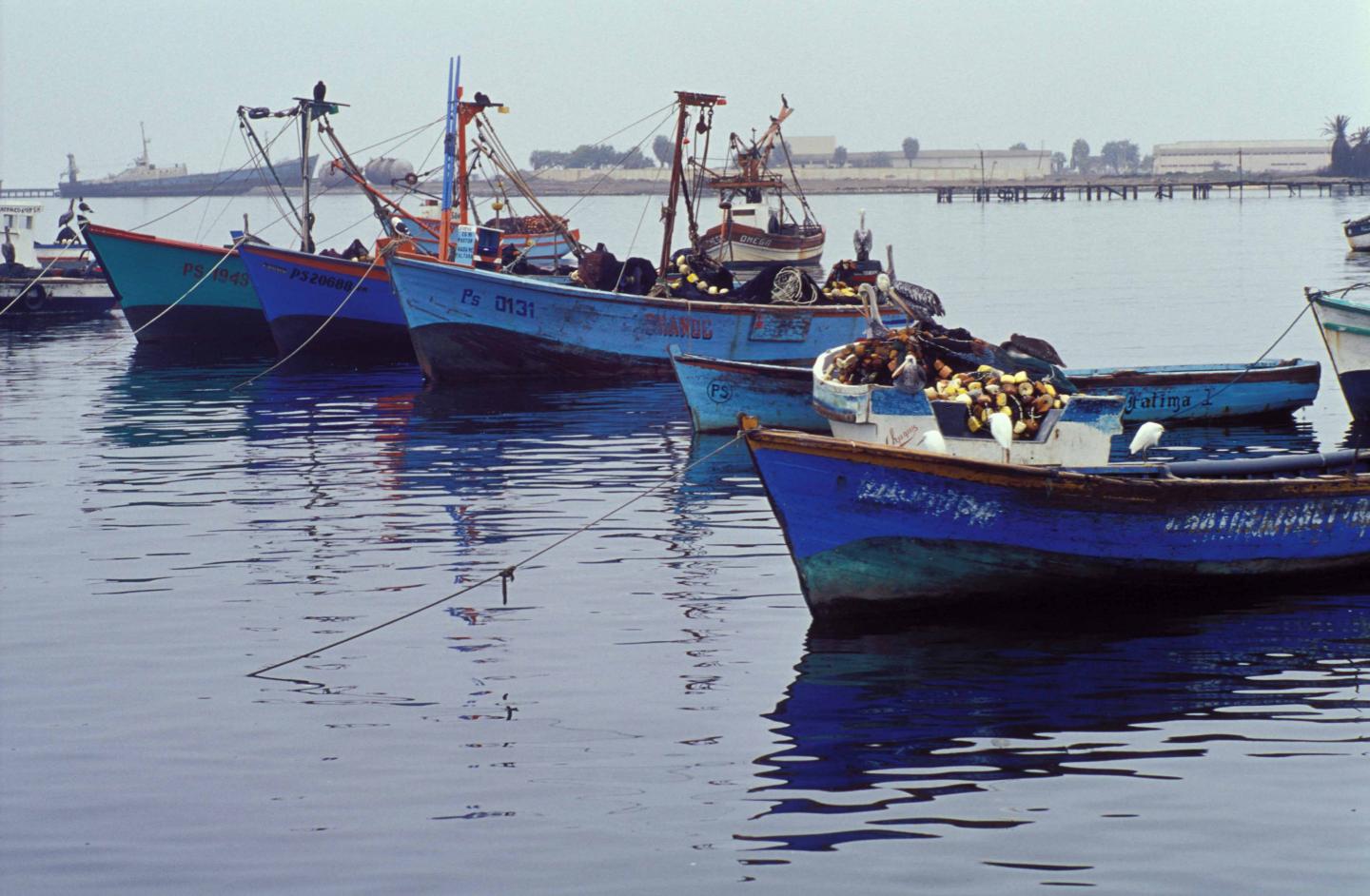 Coastal Peru