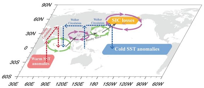 Schematic of the proposed cross-basin atmospheric bridge linking La Niña and Southern Indian Ocean warming to Arctic sea ice loss