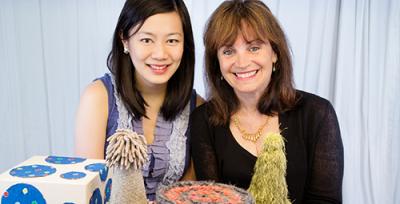 Renee Baillargeon and Peipei Setoh, University of Illinois at Urbana-Champaign