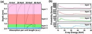 Absorption and absorbed energy distributions