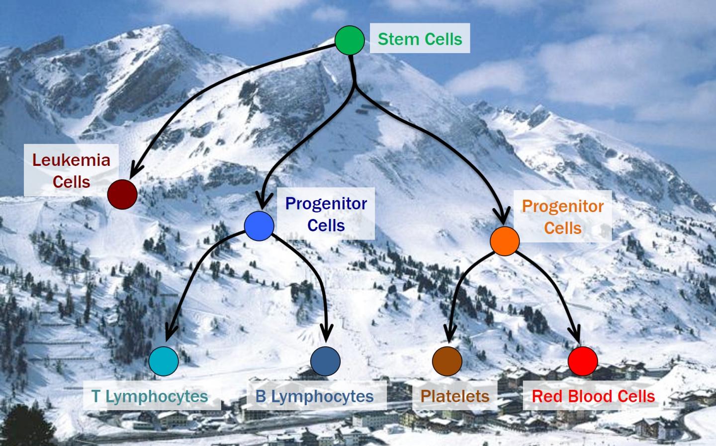 Epigenetic Landscape of the Blood