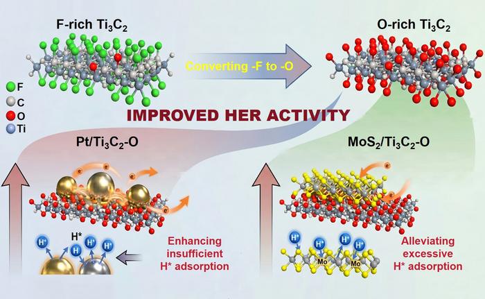 O-termination-induced electronic modulation in MXene-based heterostructures toward sustainable hydrogen evolution