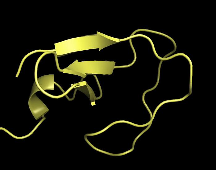 AI generates first complete models of proteins in motion