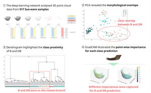 Using AI to classify pottery based on shape