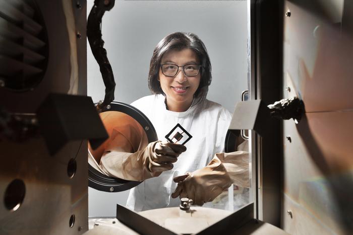 Professor Anita Ho-Baillie