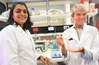 Microalgae research at Flinders University