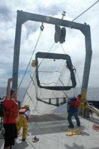 Trawl
