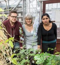 Professor Cathie Martin & Colleagues, John Innes Centre
