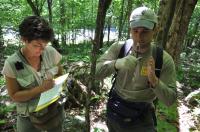 Return to 1950s Field Sites Yields Striking Discovery