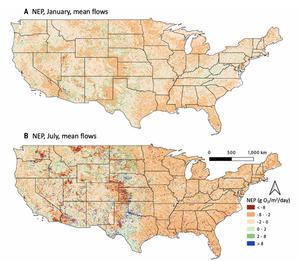 Net ecosystem productivity in the contiguous United States in January and July.