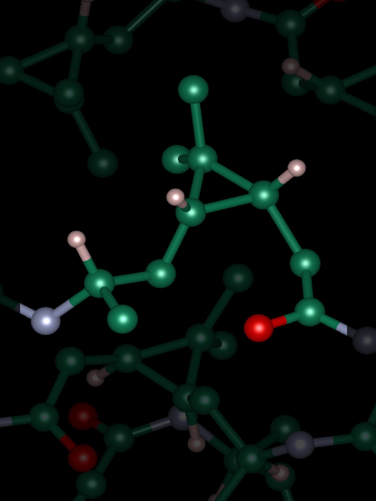Monomeric Unit of Poly-3S-caranamide