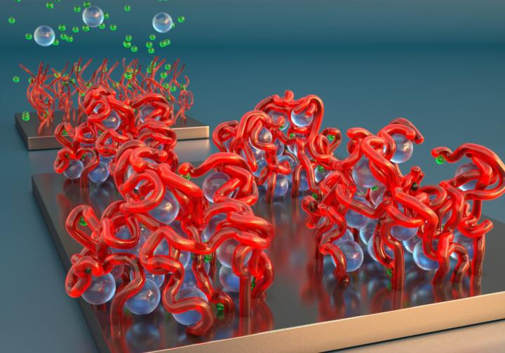 Multivalent ions induce lateral structural inhomogeneities in polyelectrolyte brushes (1 of 1)