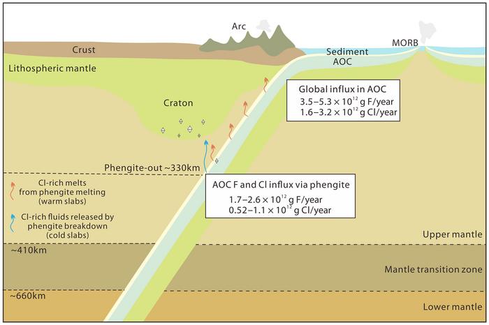 Schematic diagram showing the deep F, Cl influx of global AOC