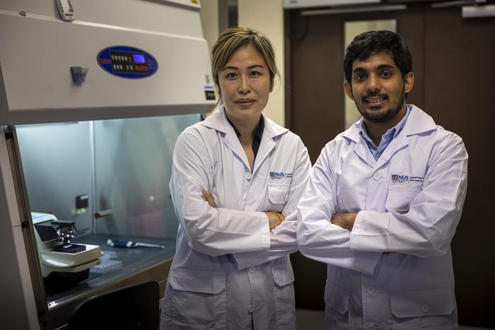 Asst Prof Eliza Fong (left) with First Author of the research Dr Kanishka Fernando, Research Fellow (Biomedical Engineering).