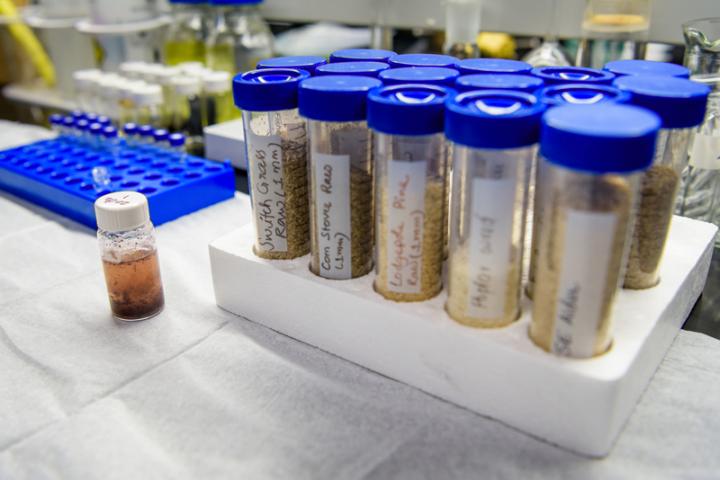 A Sweeter Way to Make Green Products